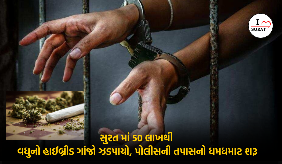 Surat police ને 50 લાખથી વધુની કિંમતનો ખાસ પ્રકારનો ગાંજો મળી આવ્યો