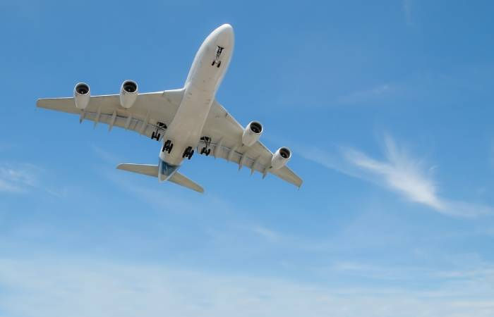 Surat airport Bee Attack 
