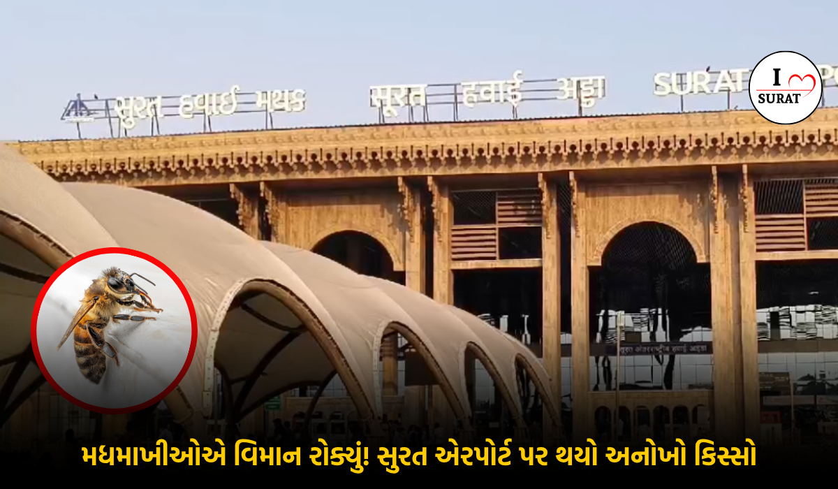 Surat airport Bee Attack