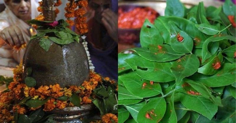 Shravan Somvar 